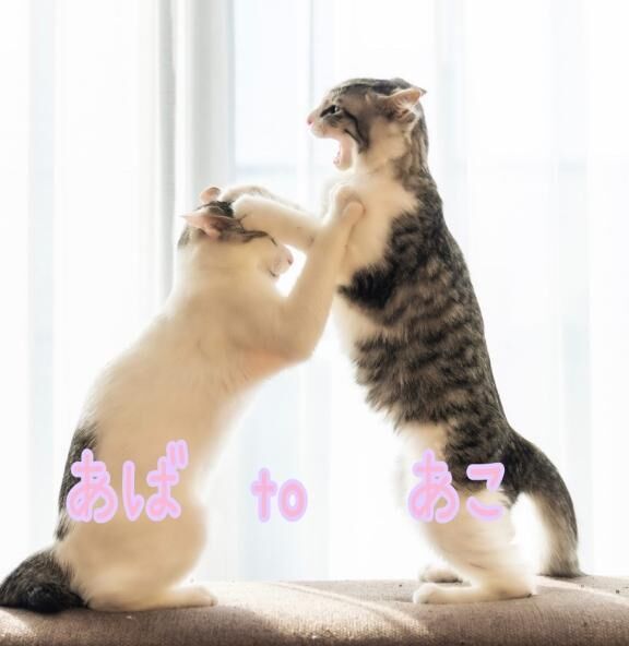 Ｙくん☆