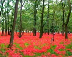 おっはよ&#x301C;(*´ &#42163; `*)