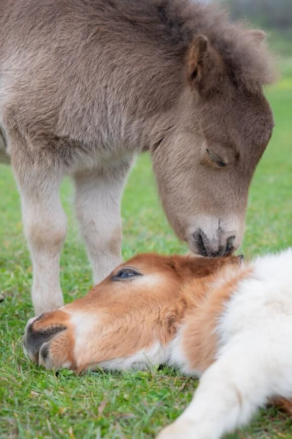 (&#9825;&#9825;&#9825;)