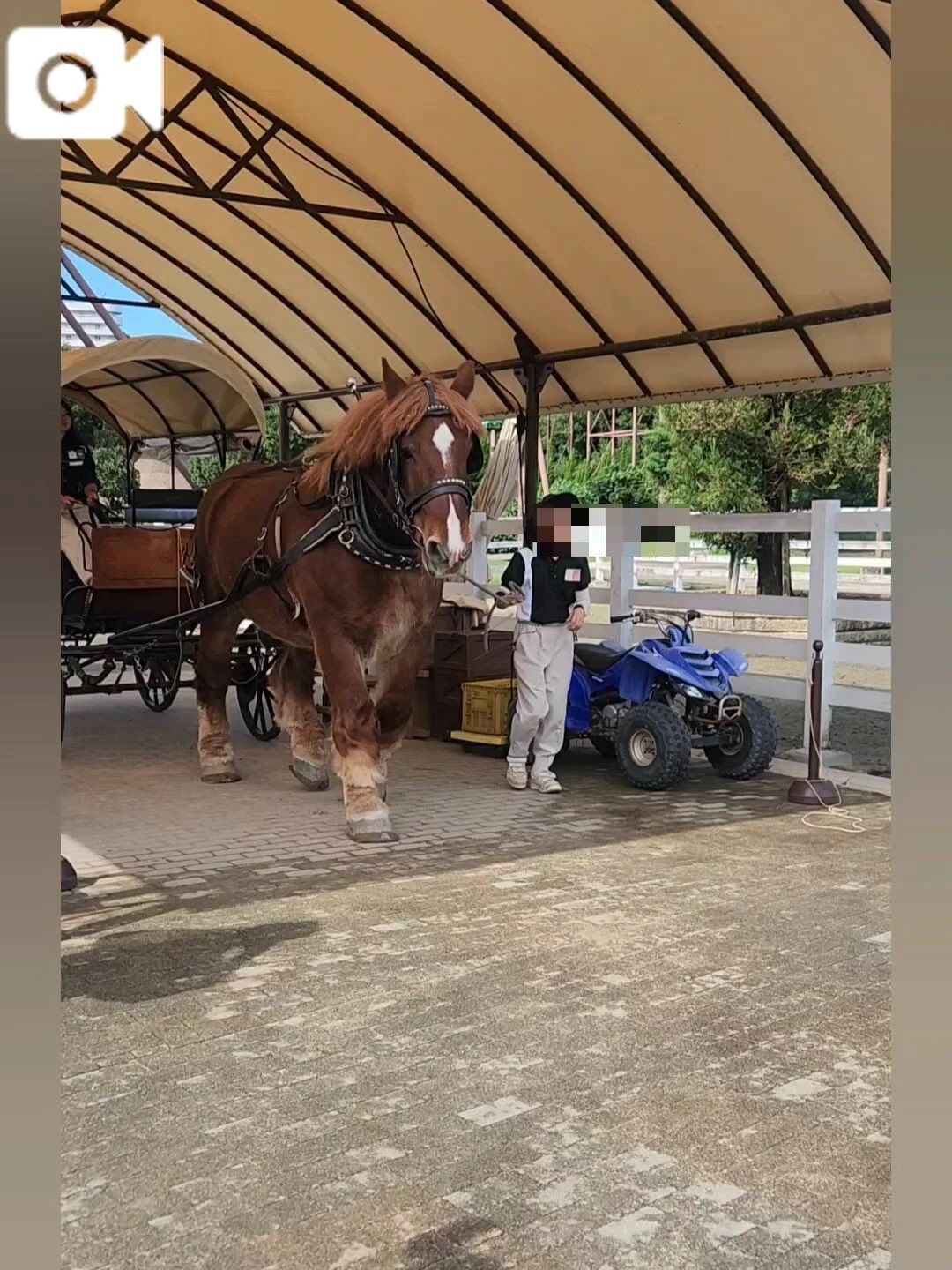 &#9312;アドベン&#127943;