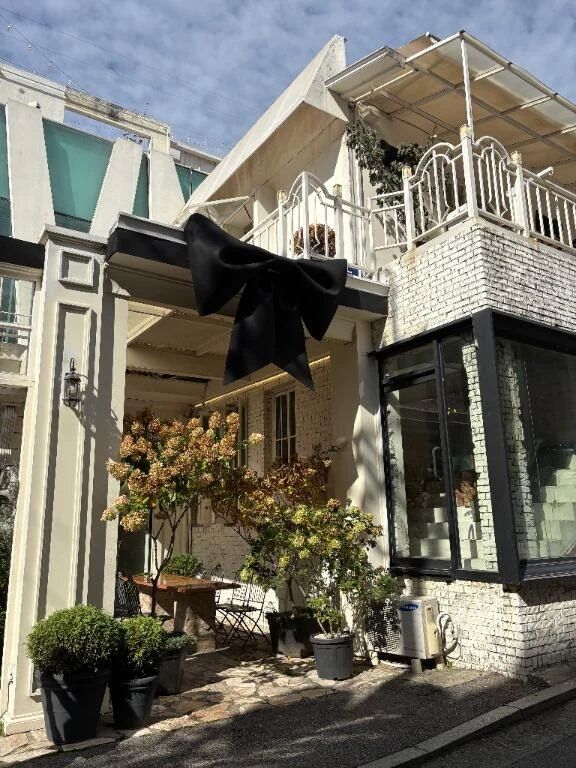 &#128153; ミーハー