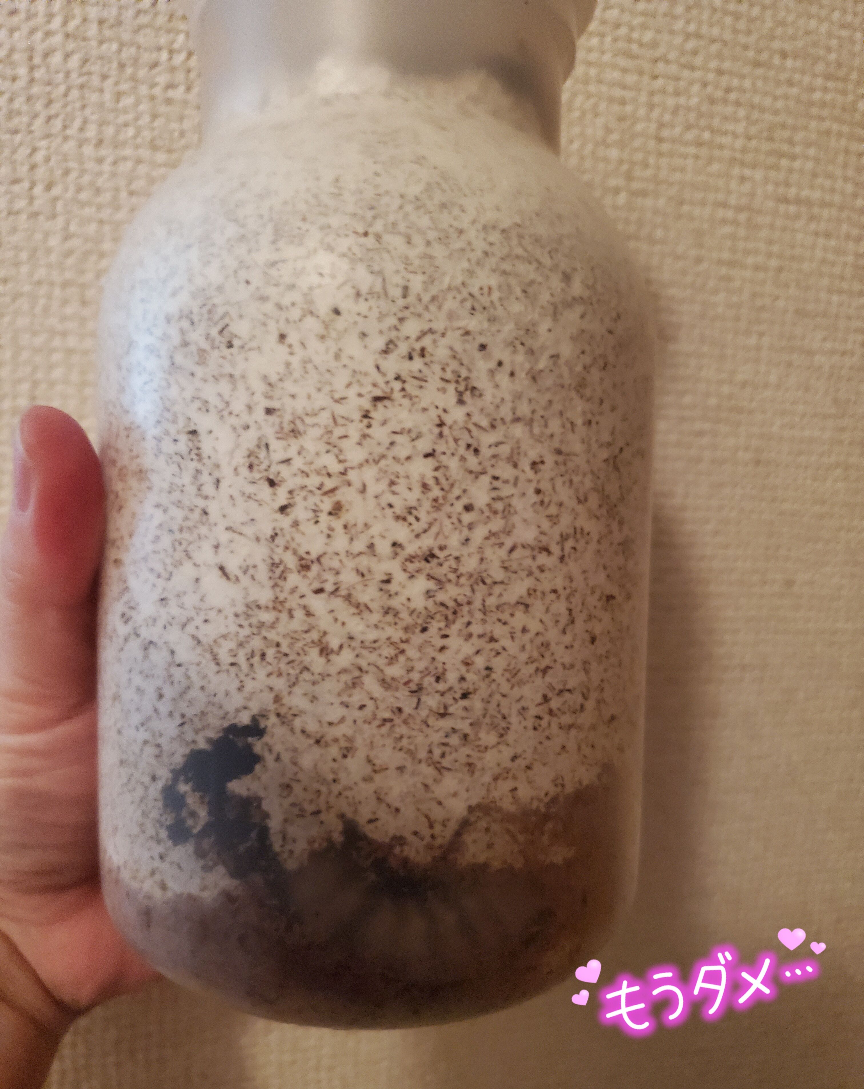 大きくなったよ&#9825;