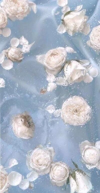 ラスト枠のお兄様梁