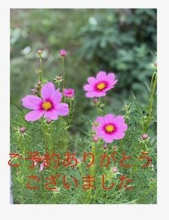 出勤予定