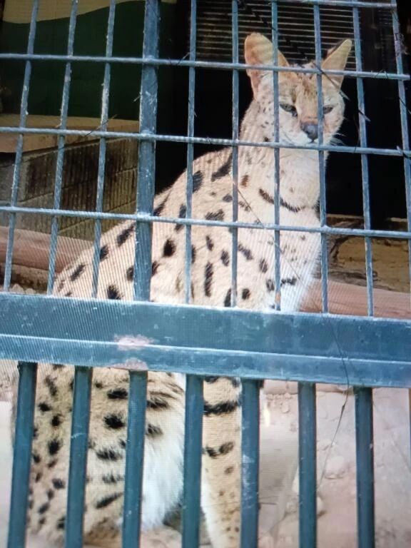 ☕お仕事お疲れ様です☕