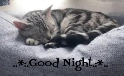 ＊おやすみなさい＊