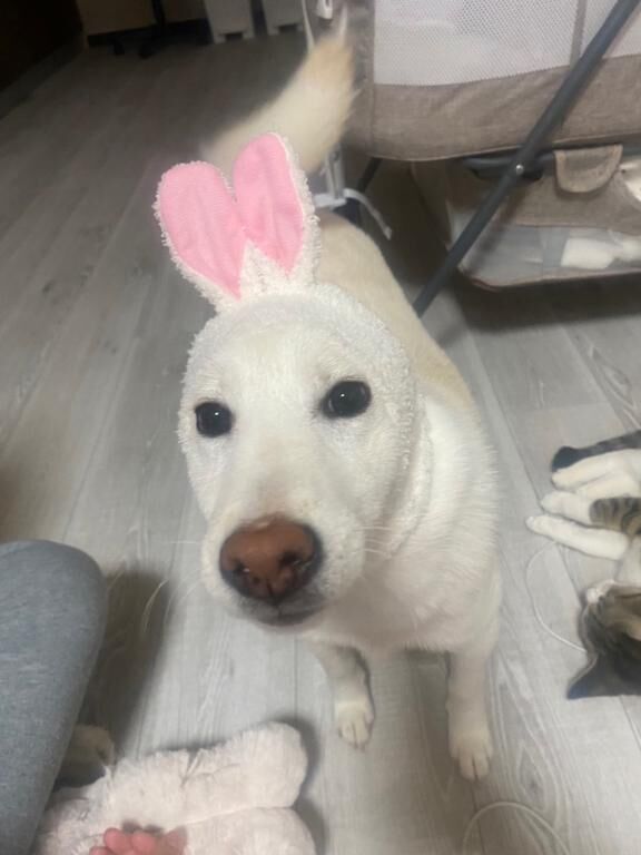 ♡♡ホノカ♡♡