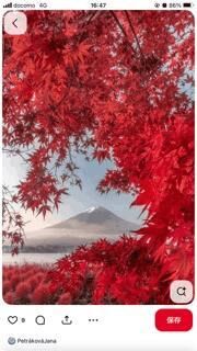 [お題]from:なんか意外さん