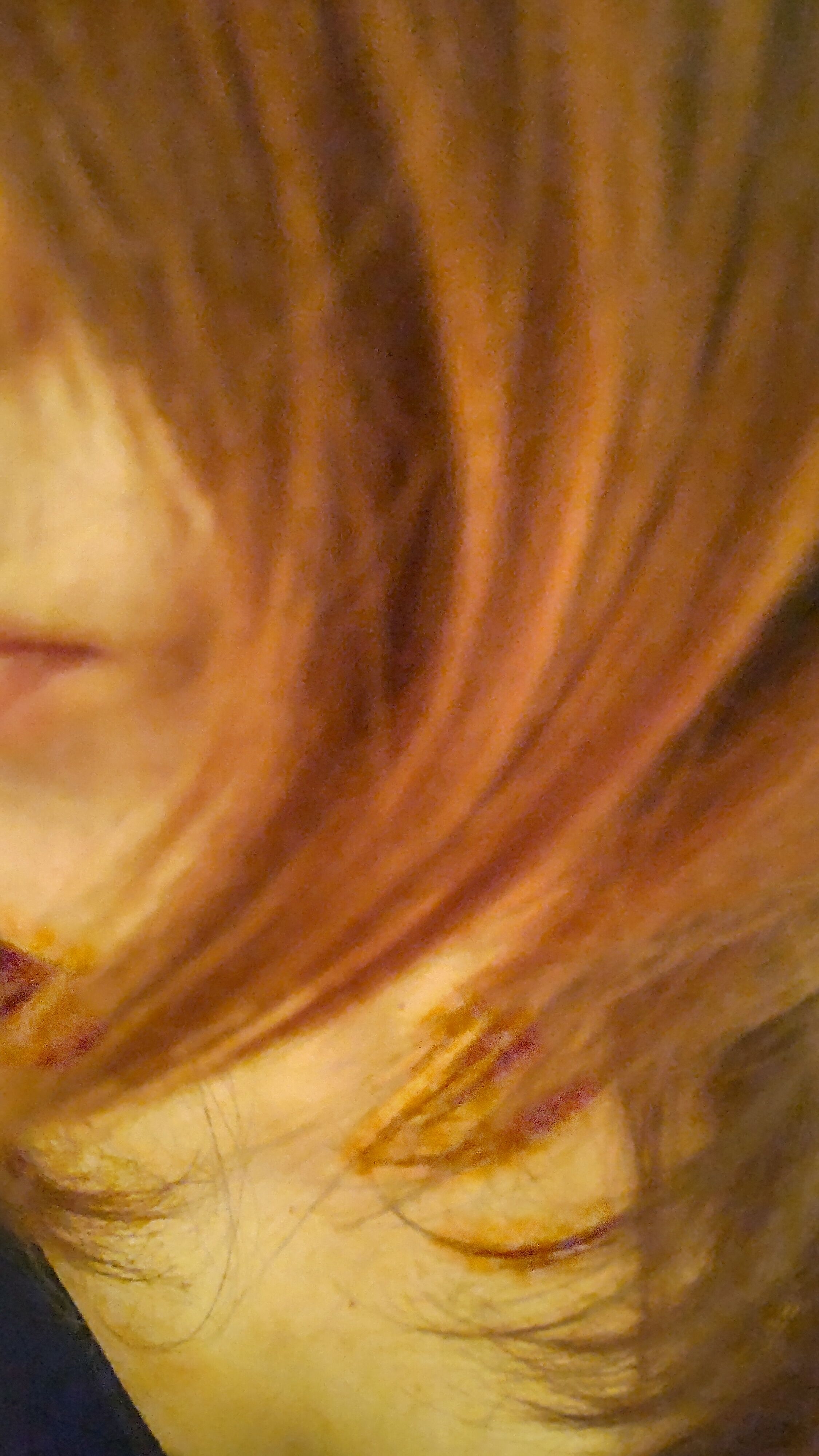 おはようございます