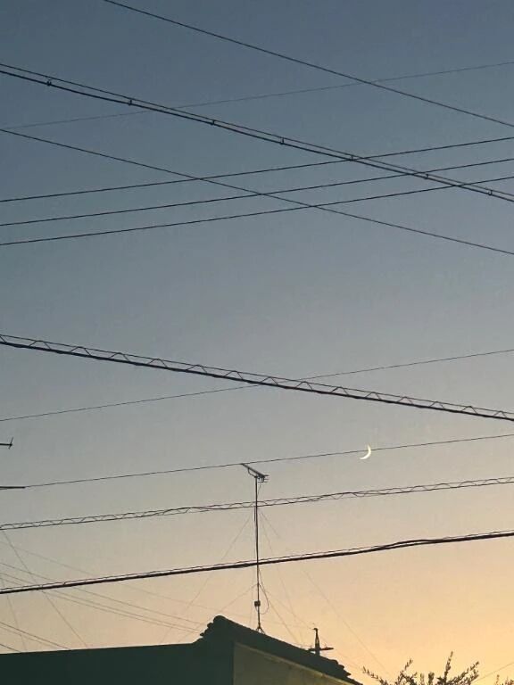 らん的体調管理&#128077;