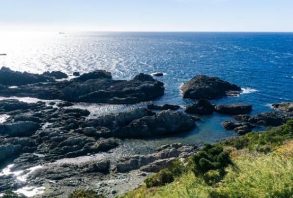 [お題]from:１００均☆さん