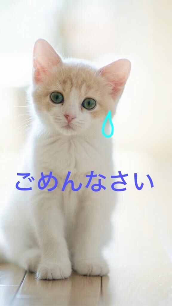 申し訳ございませんが。。