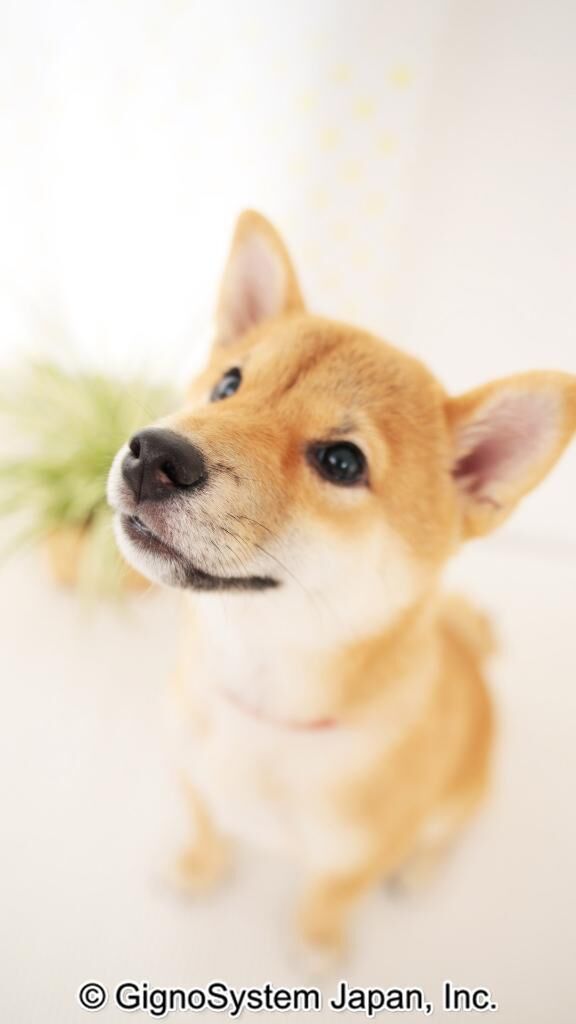 こんにちは&#9825;