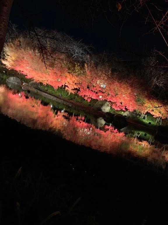 ぴっ