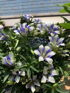 ★御予約ありがとうございます&hearts;&#65038;