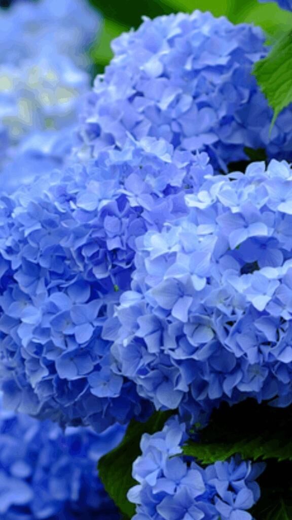 ☆ありがとう☆