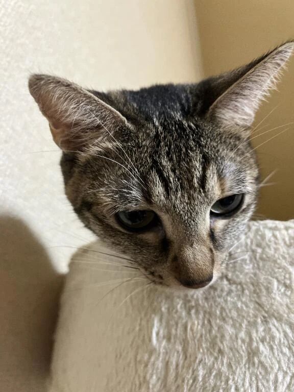 季節の変わり目は