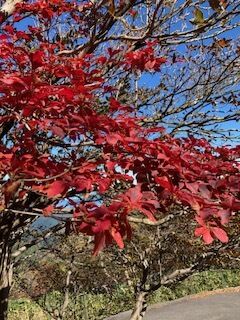 おやすみなさい