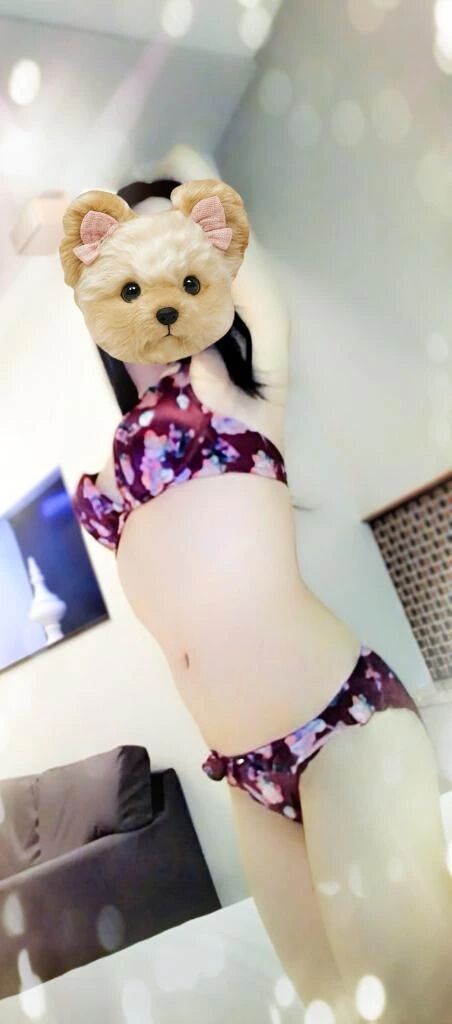 今の時間は交通費が無料です