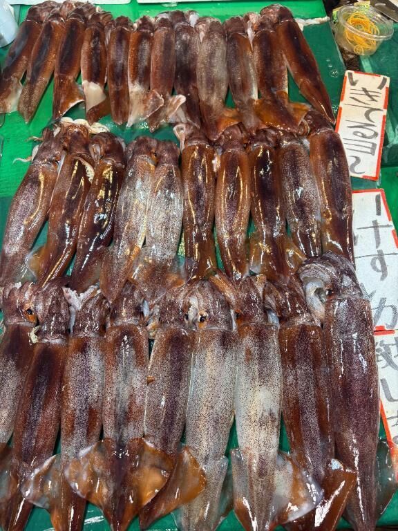 &#9825;10月26日のモーニン&#9825;