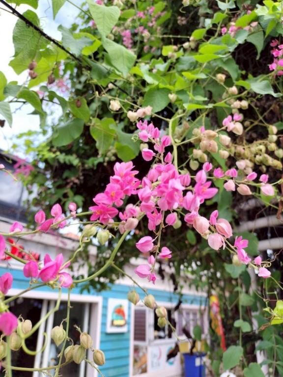 明日のご予約&#9825;&#9825;