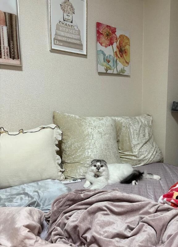 今日のたおくん&#128008;