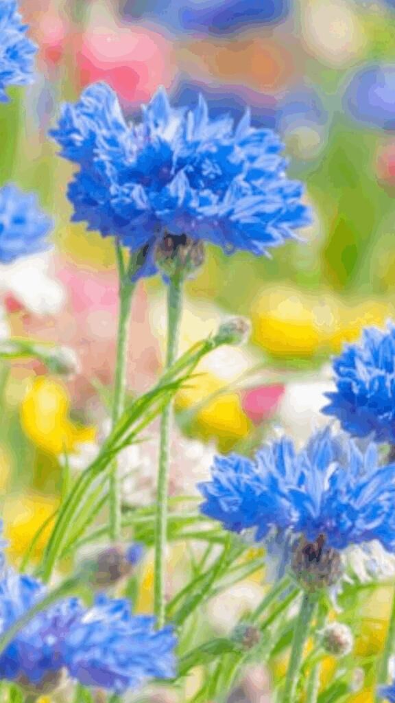 ☆こんにちは☆