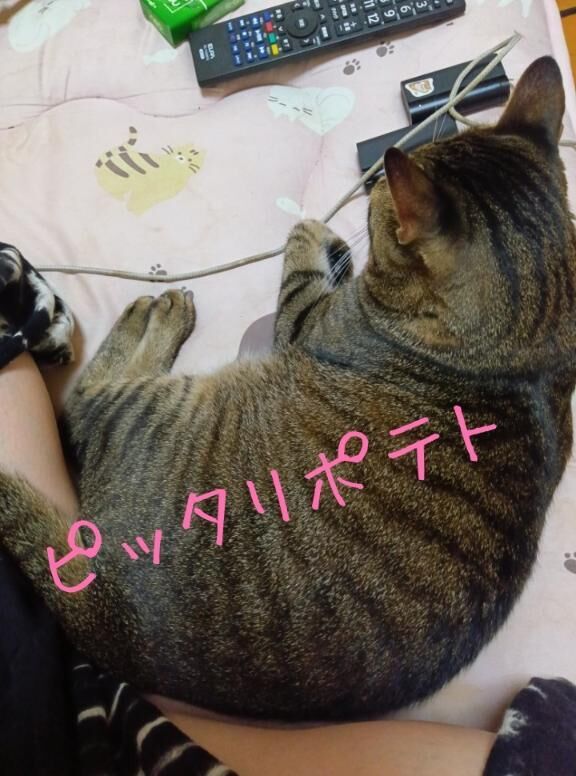 おはようございます