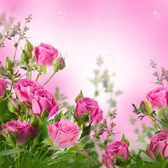 [お題]from:小悪魔かわいい&#9825;さん