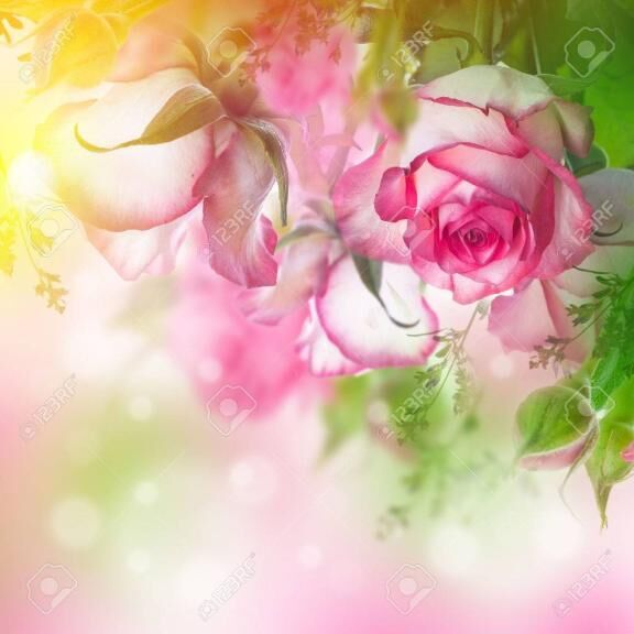 [お題]from:小悪魔かわいい&#9825;さん