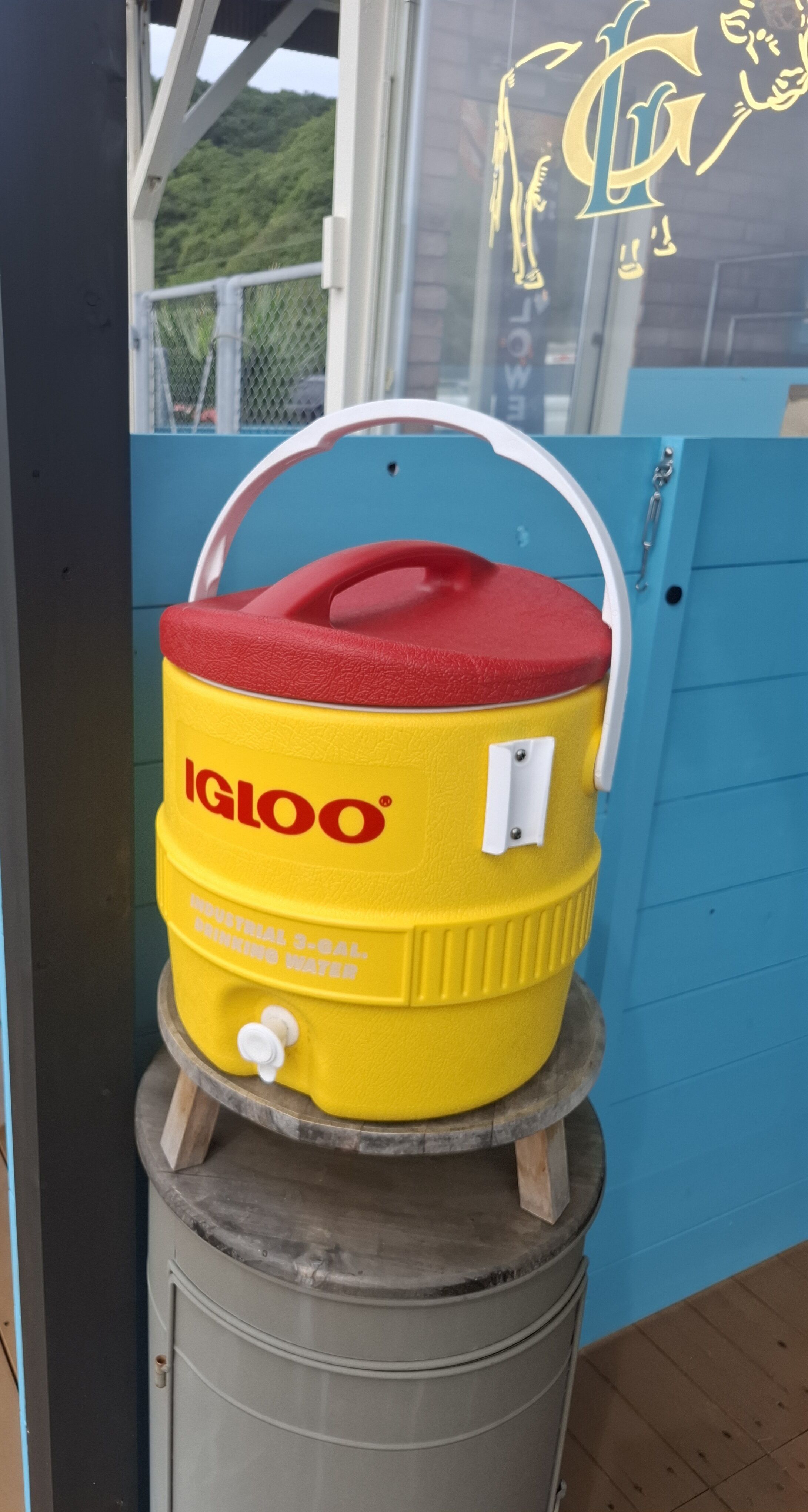 今の推しちゃん