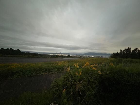 帰ってきました