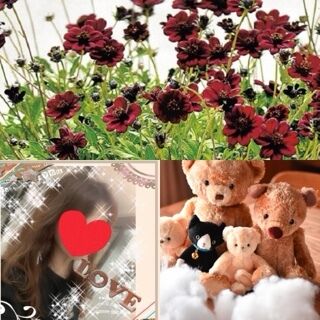 おはようございます♪