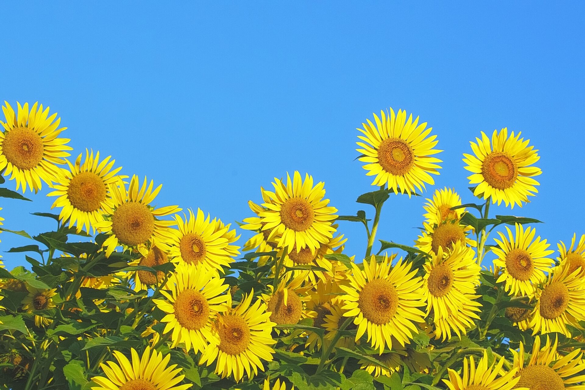 今日は、、、。