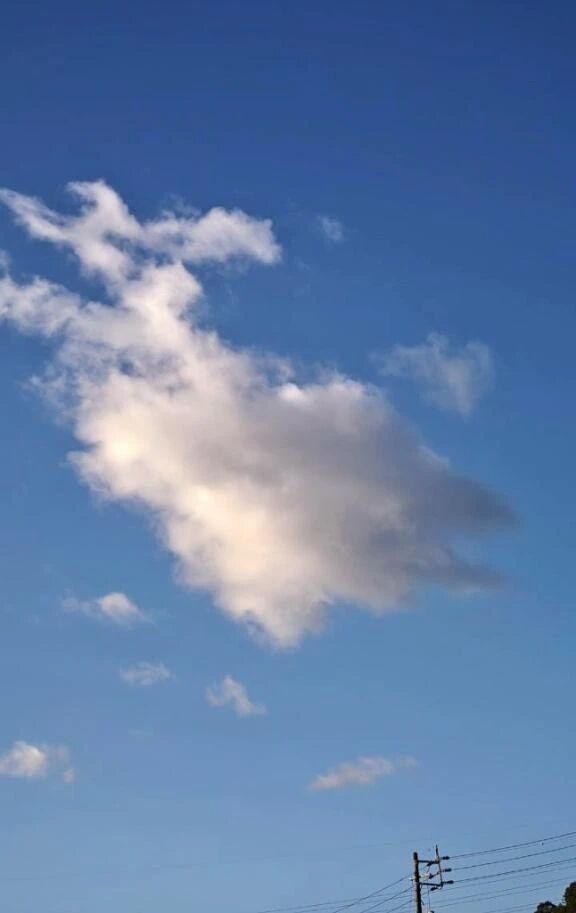 李おはようございます李