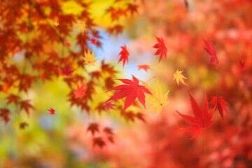 おはようございます