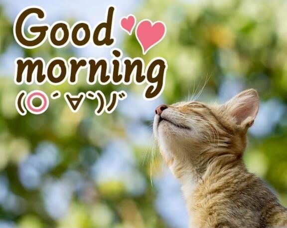 みたよ&#9825;ありがとう！