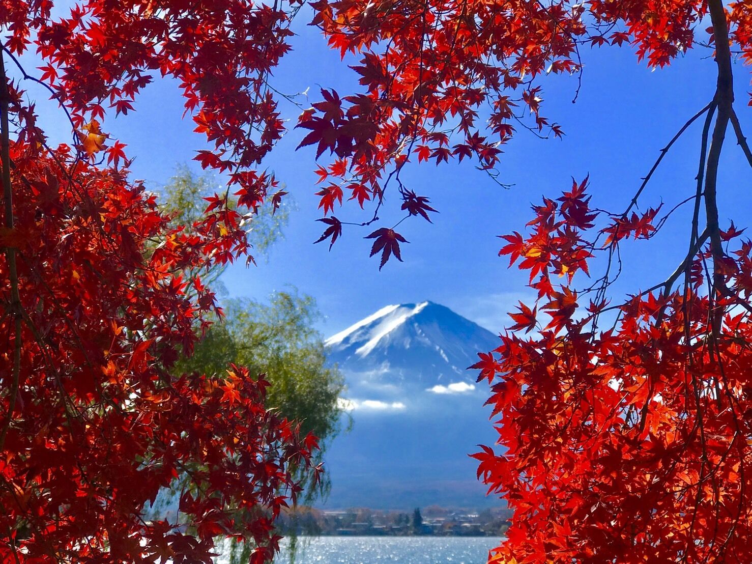今週の出勤予定