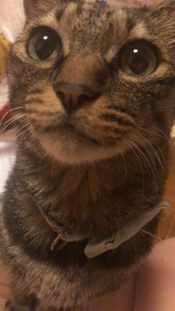 &#9825;&#9825;&#9825;&#9825;