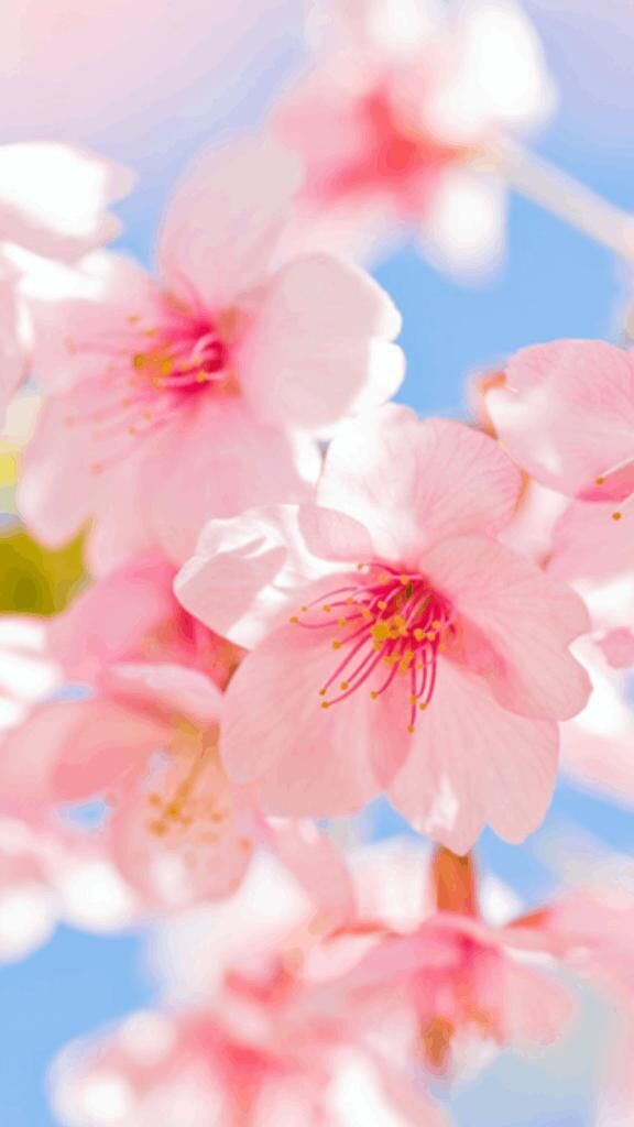 ☆ありがとう☆