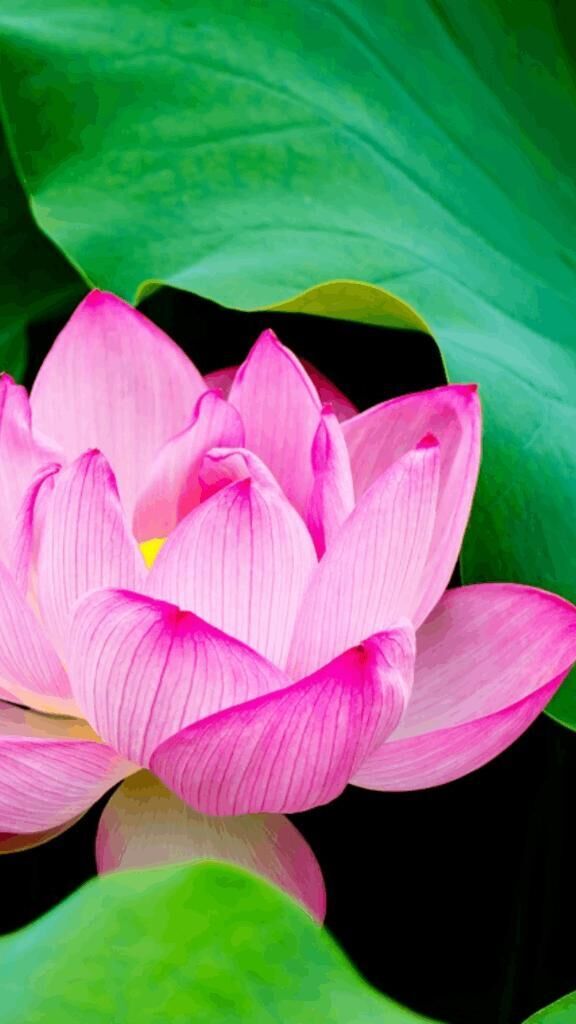 ☆こんにちは☆