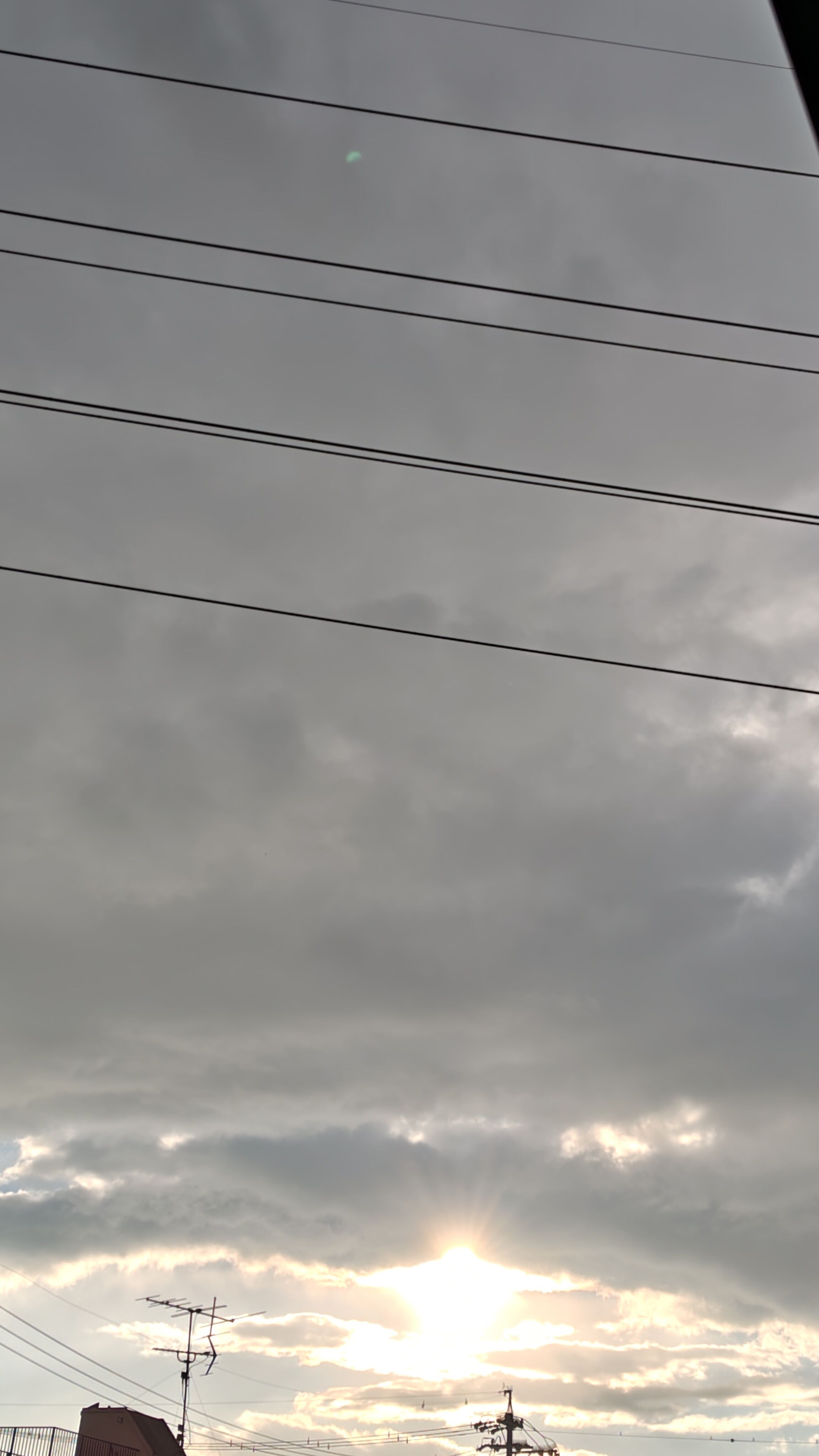 休日です&#128151;