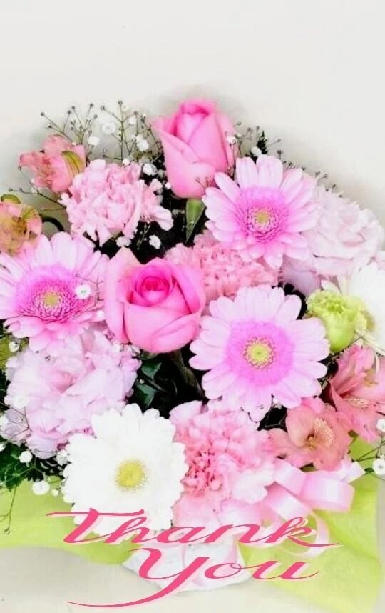 ✨17日みたよ♪の女の子会員の皆様✨