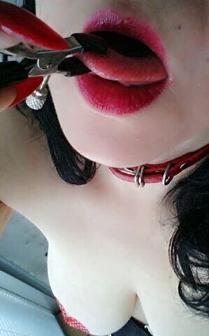 昨日はありがとうございました