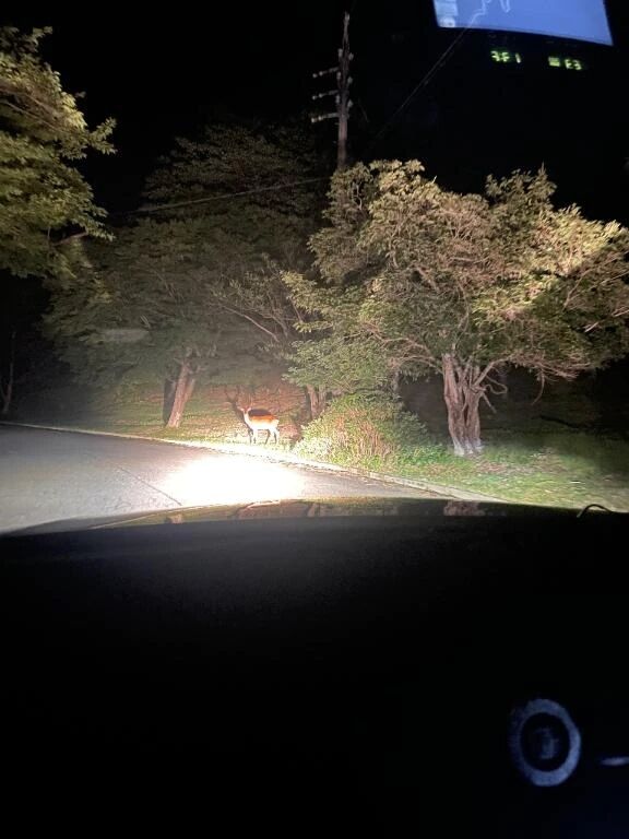 今日も退勤したよぉ﫶