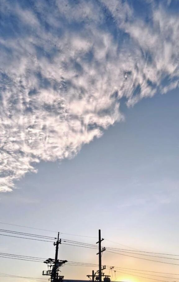 李おはようございます李