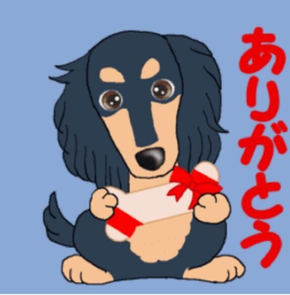 P指様、ありがとう