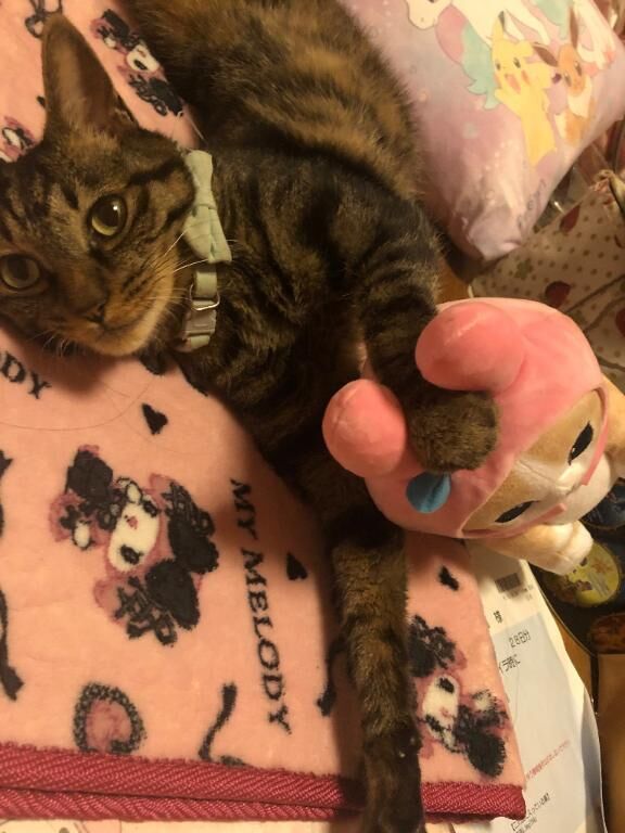 お出かけ&#9825;&#9825;&#9825;&#9825;