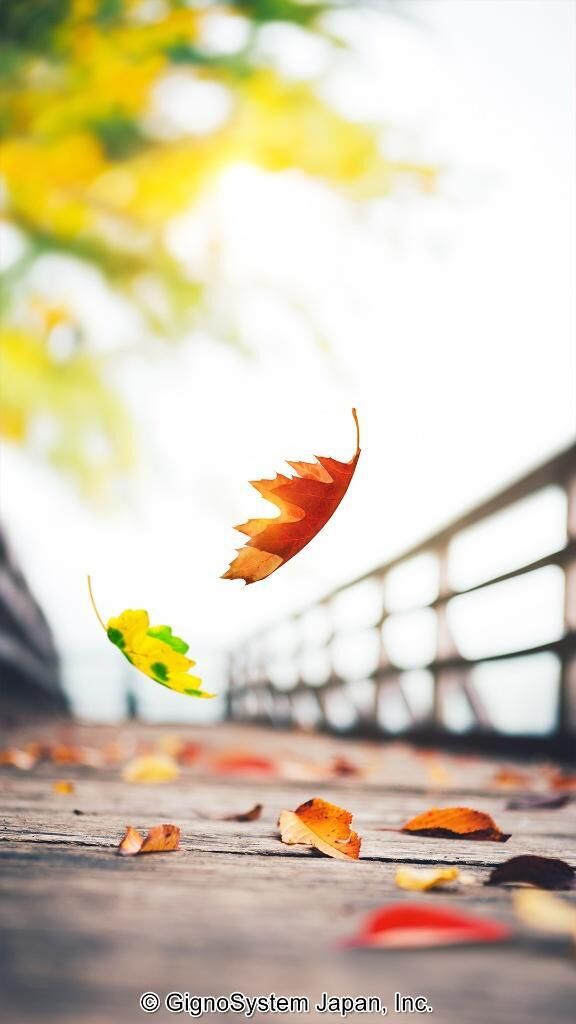 こんにちは&#9825;