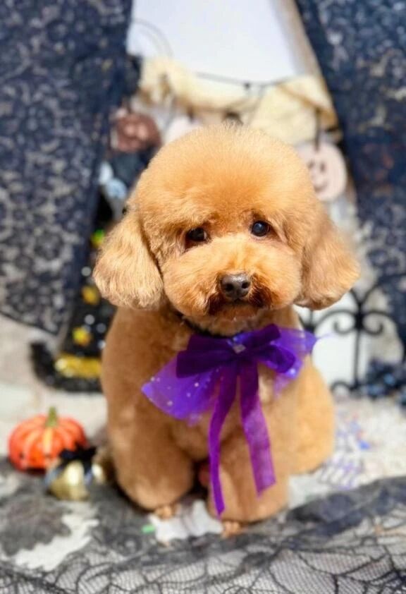 明日空き枠⠜